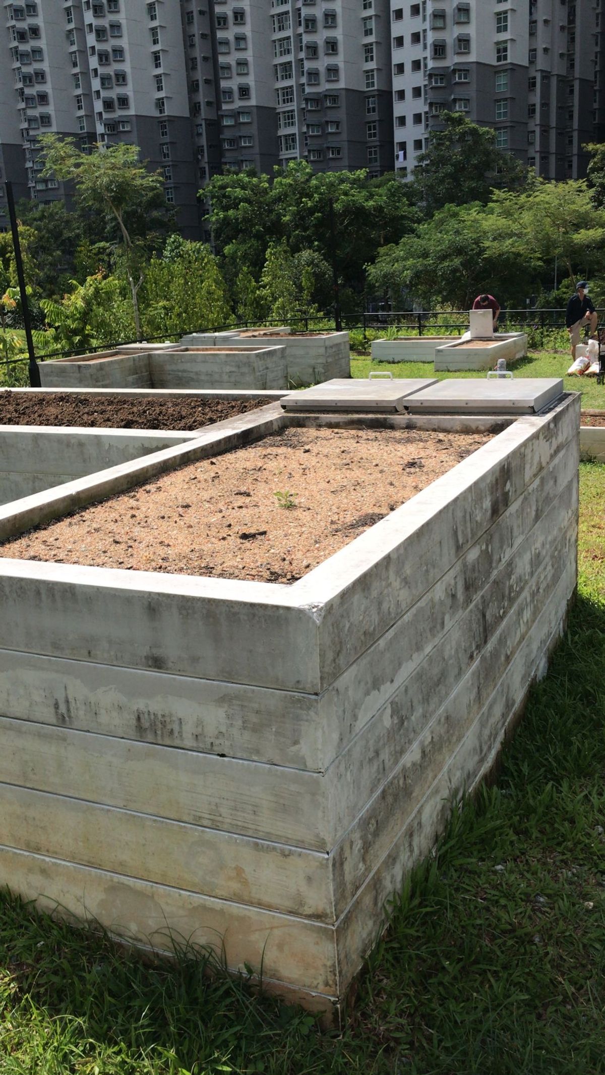 Planting at Greens N Berries